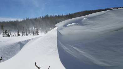 56556973_10213056967250107_1505377820975562752_n