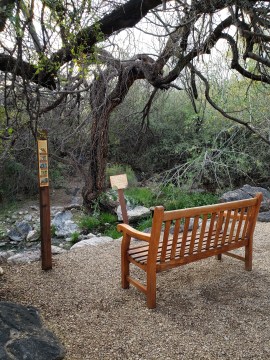 bench on trail